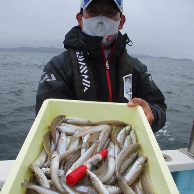『梅雨入りモロポチャギス釣り』初挑戦のお客様も60本Over狩りッ(ﾟ∀ﾟ)
