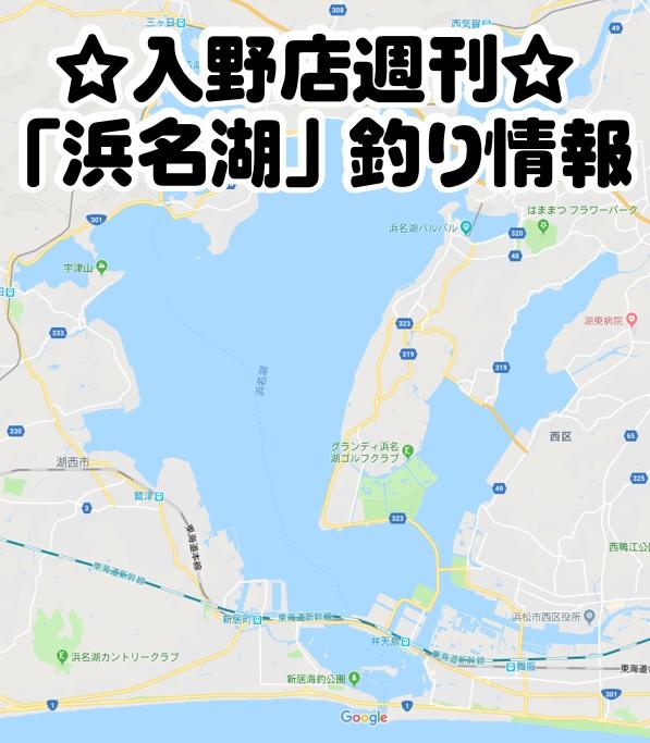 1 15入野店 週刊 浜名湖 釣り情報 釣具のイシグロ 釣り情報サイト