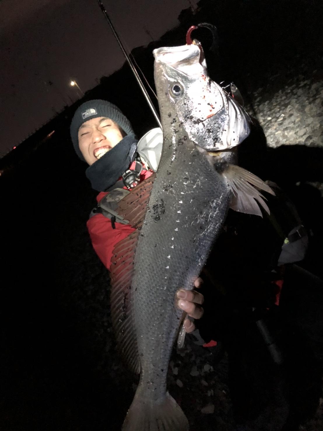 静岡市サーフであのモンスターを捕獲 お客様釣果情報 釣具のイシグロ 釣り情報サイト