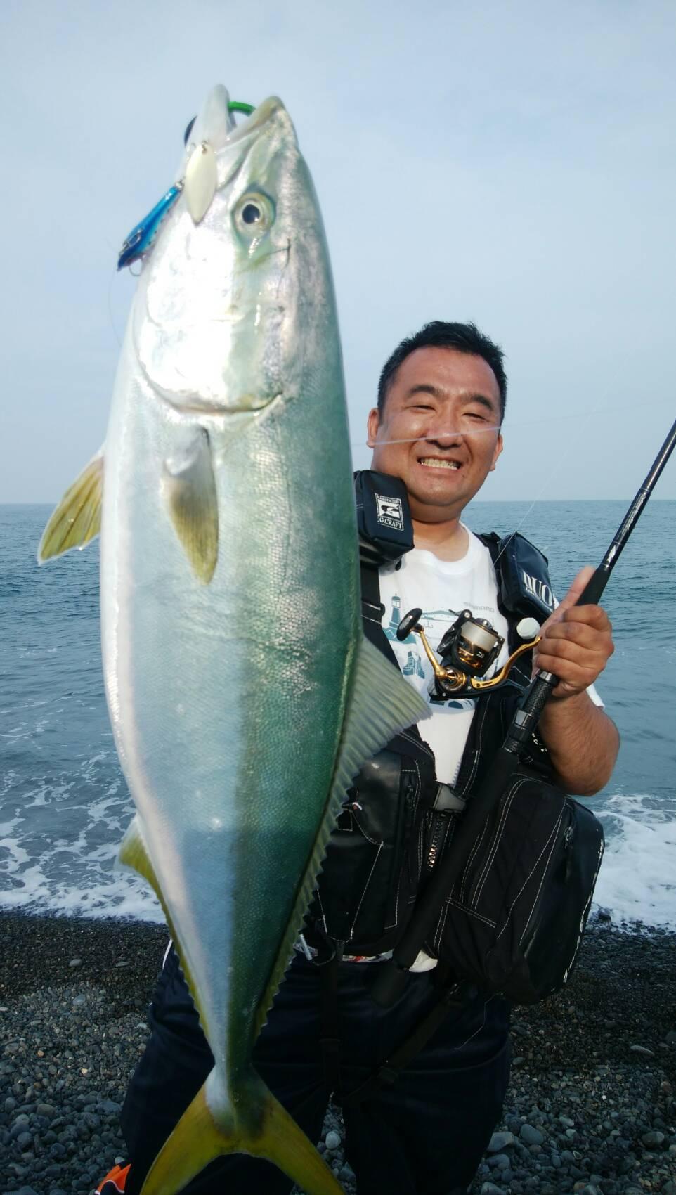 焼津サーフ 青物 シーバス釣れてます 釣具のイシグロ 釣り情報サイト