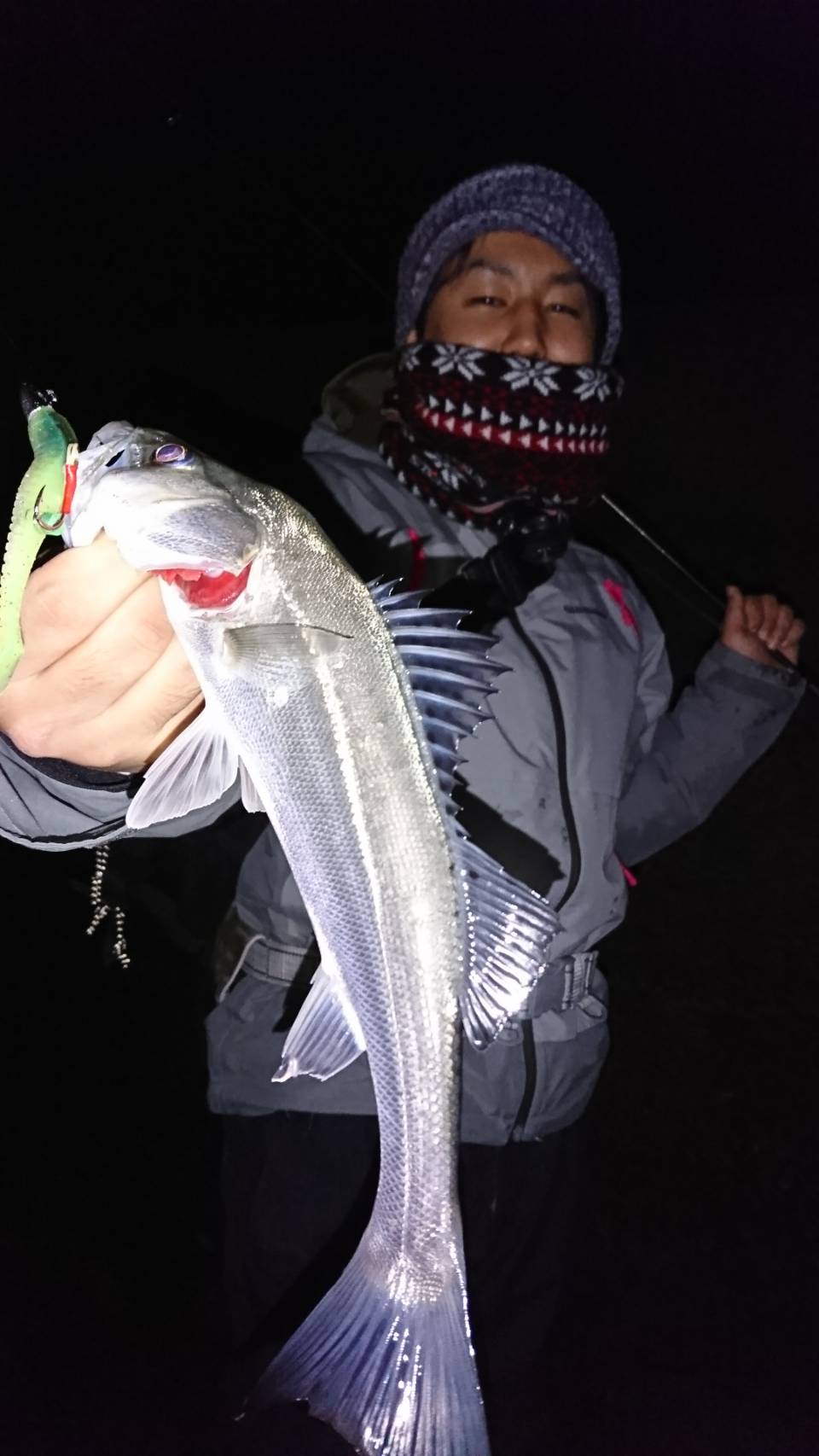 冬の名古屋港シーバス攻略 釣具のイシグロ 釣り情報サイト