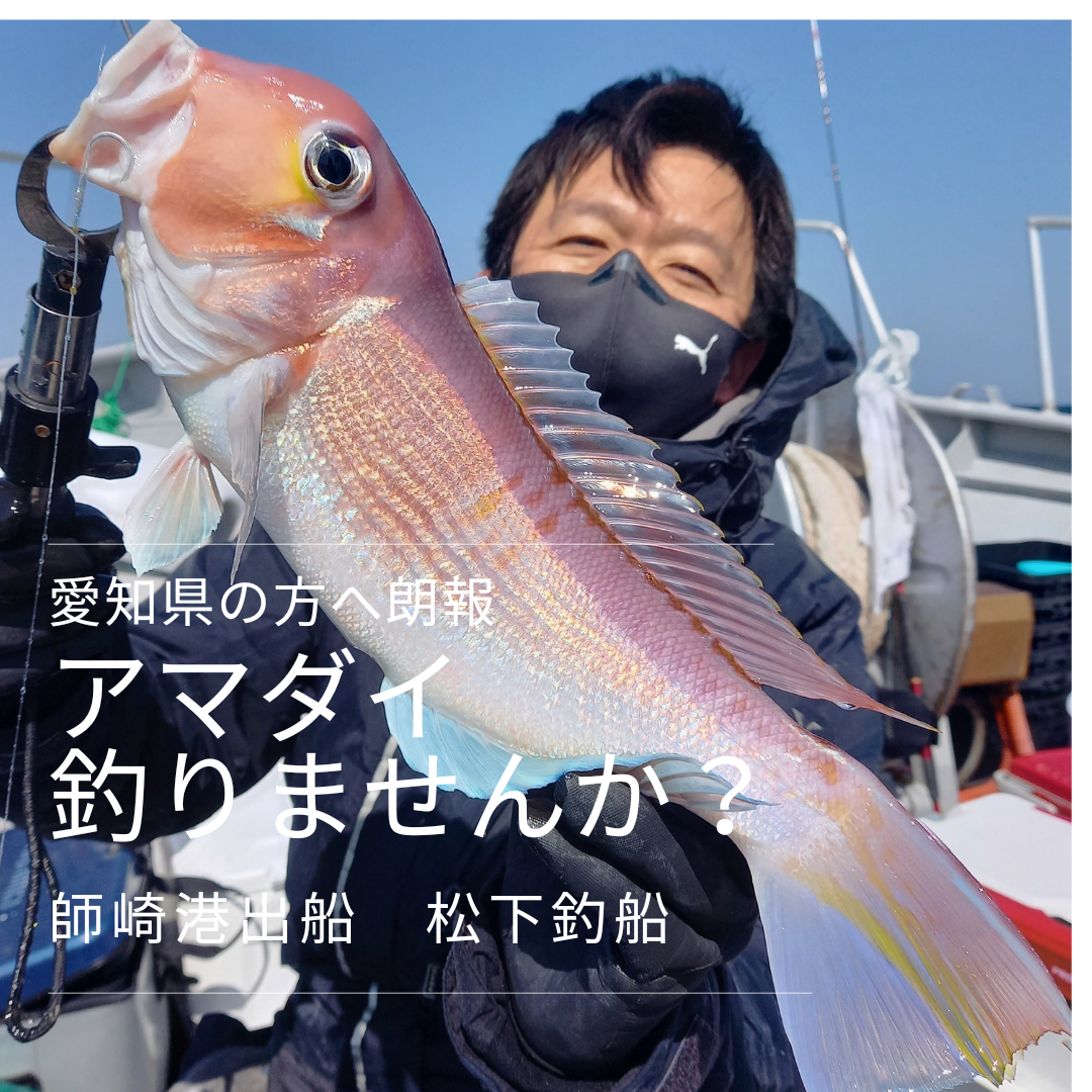 いよいよあの高級魚アマダイが 師崎港松下釣船 イシグロ半田店 釣具のイシグロ 釣り情報サイト