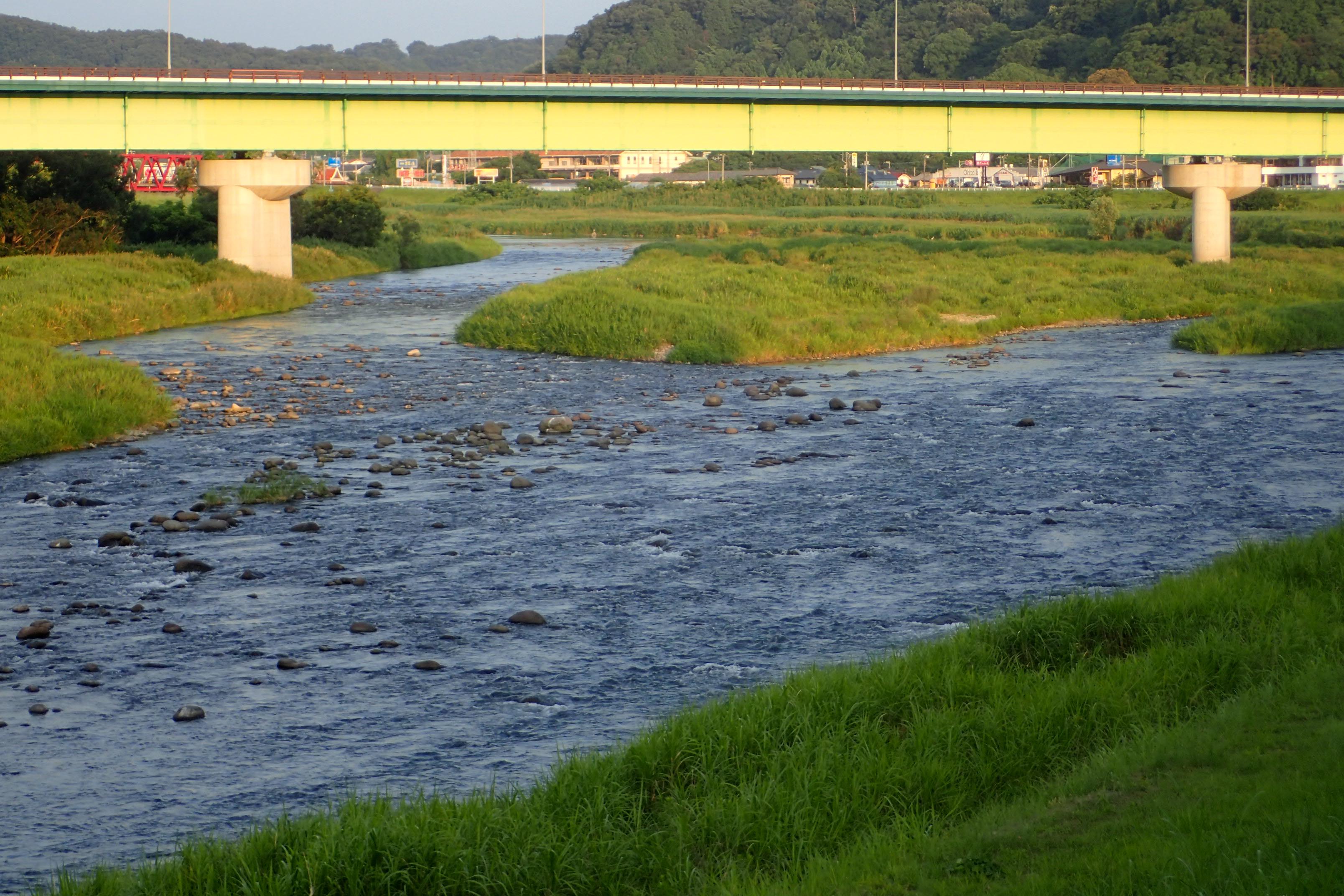 狩野川公園前、瀬が続く広々とした鮎釣場らしい川相です。