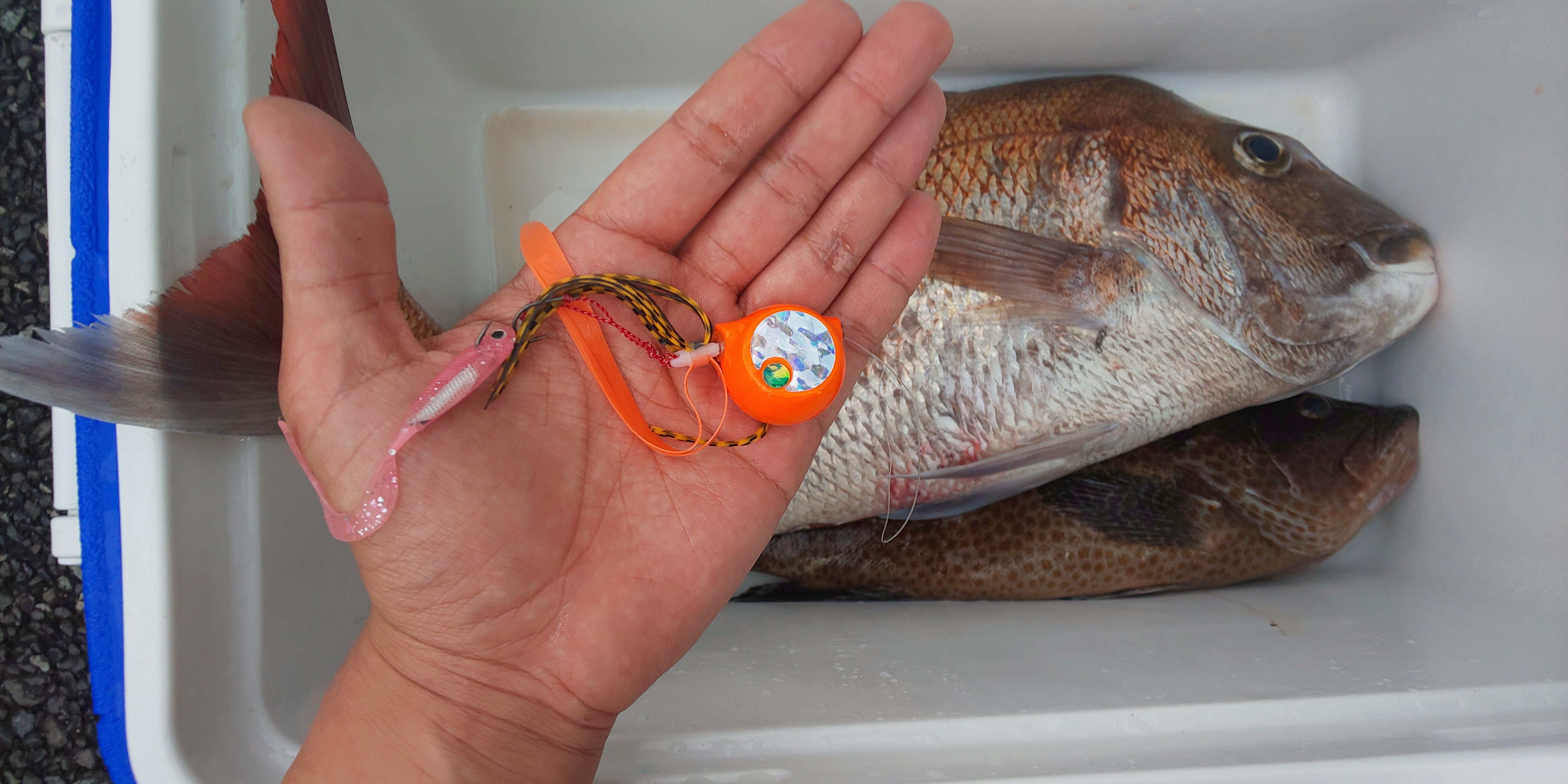 沼津湾内 ボートタイラバで75 のマダイが釣れました 釣具のイシグロ 釣り情報サイト