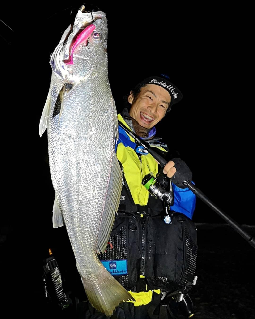 怪魚 オオニベ 釣具のイシグロ 釣り情報サイト
