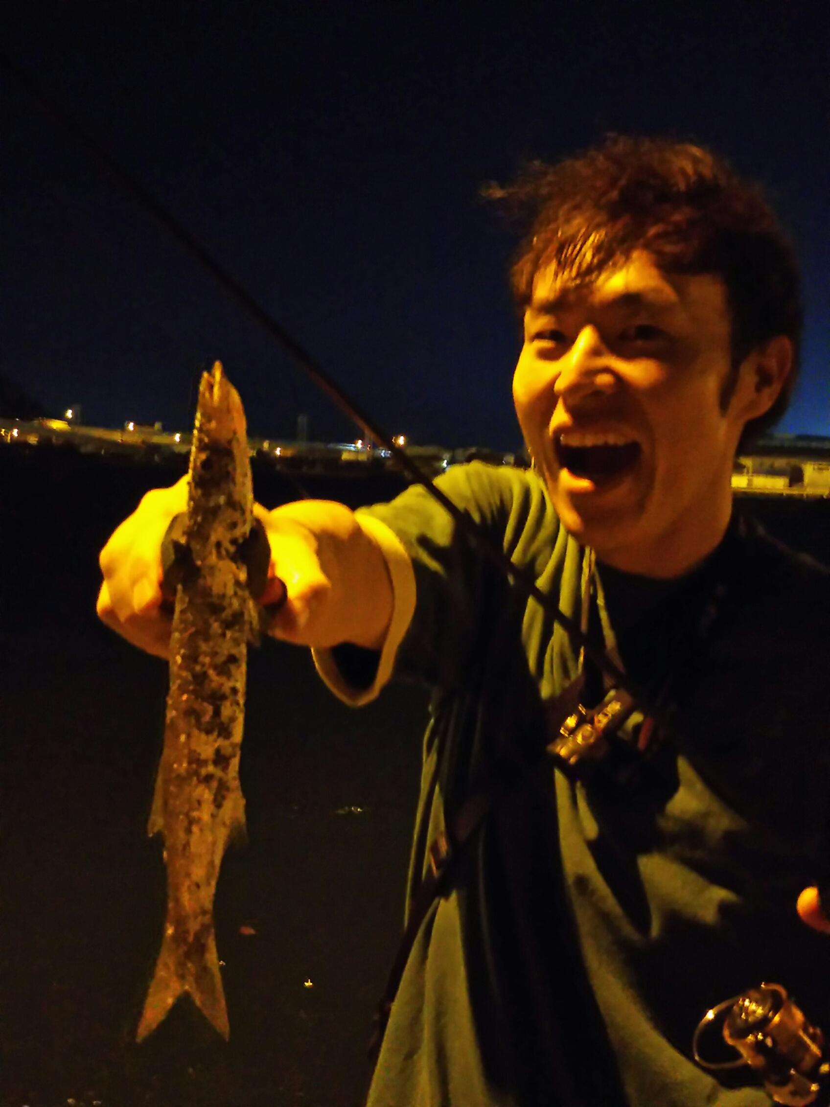清水港ライトゲーム カマスが釣れました 釣具のイシグロ 釣り情報サイト