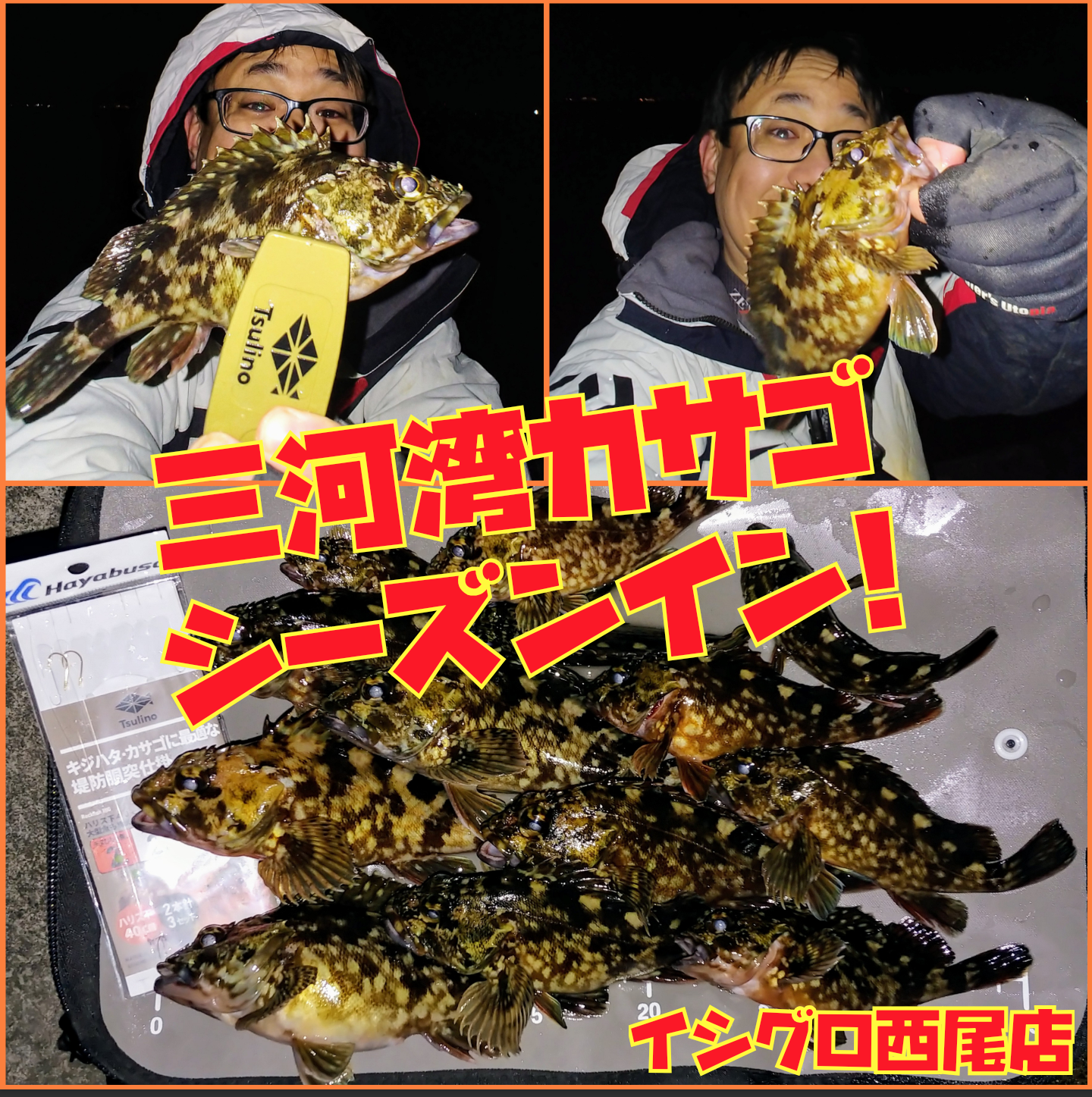 カサゴ_一色