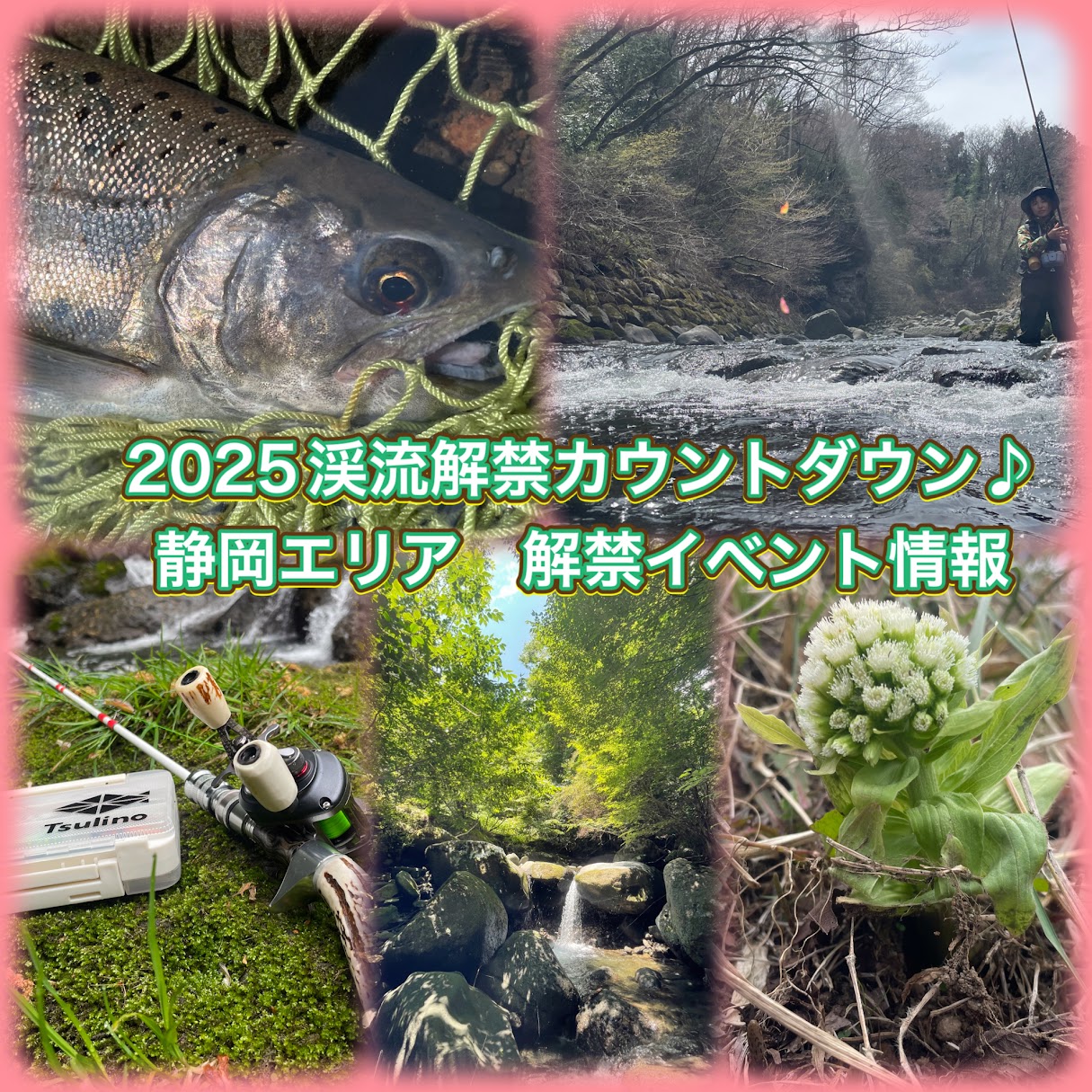 鮎沢川解禁マス釣大会