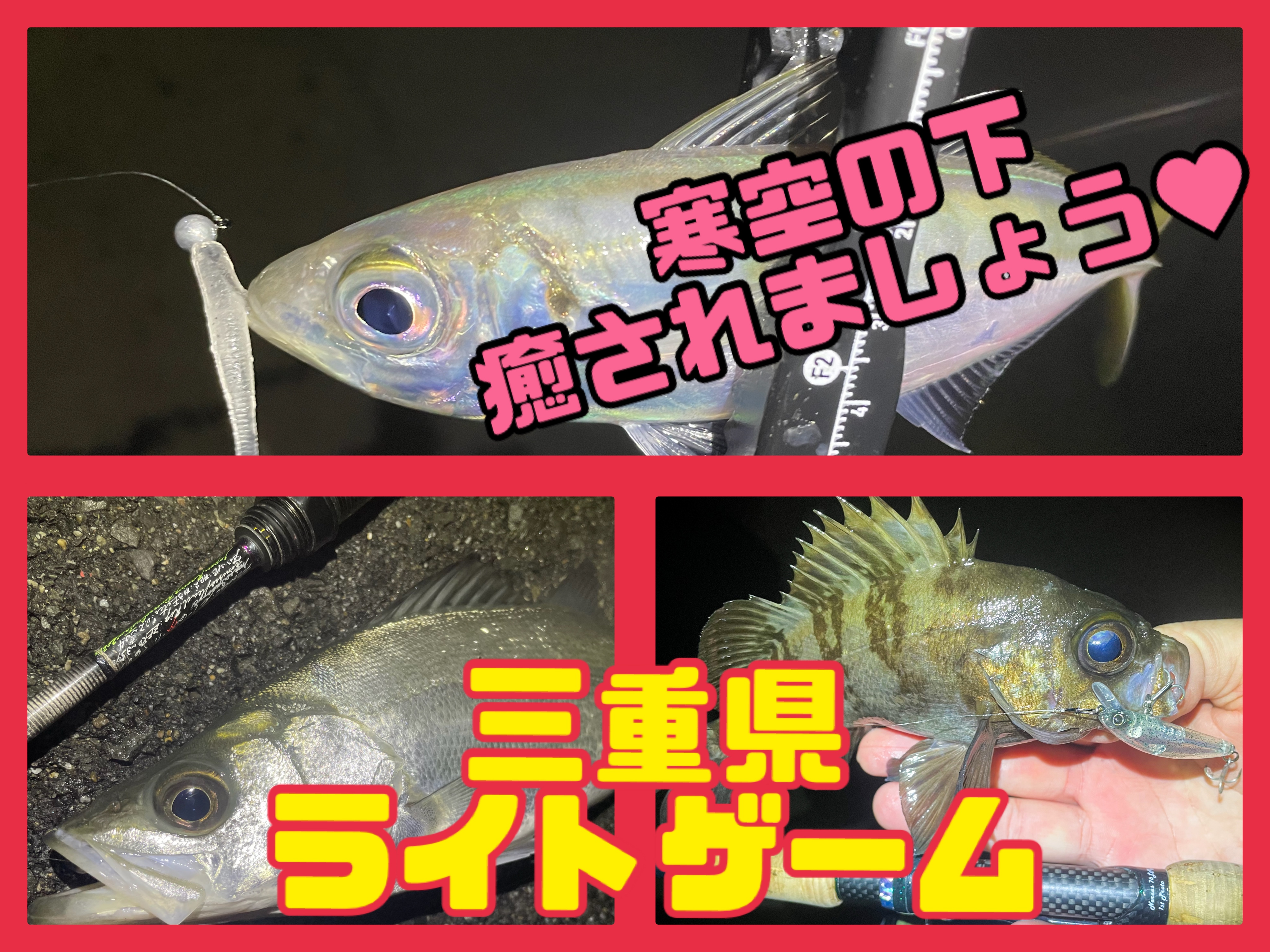なかせ_あじ_IMG_0736_0.jpeg