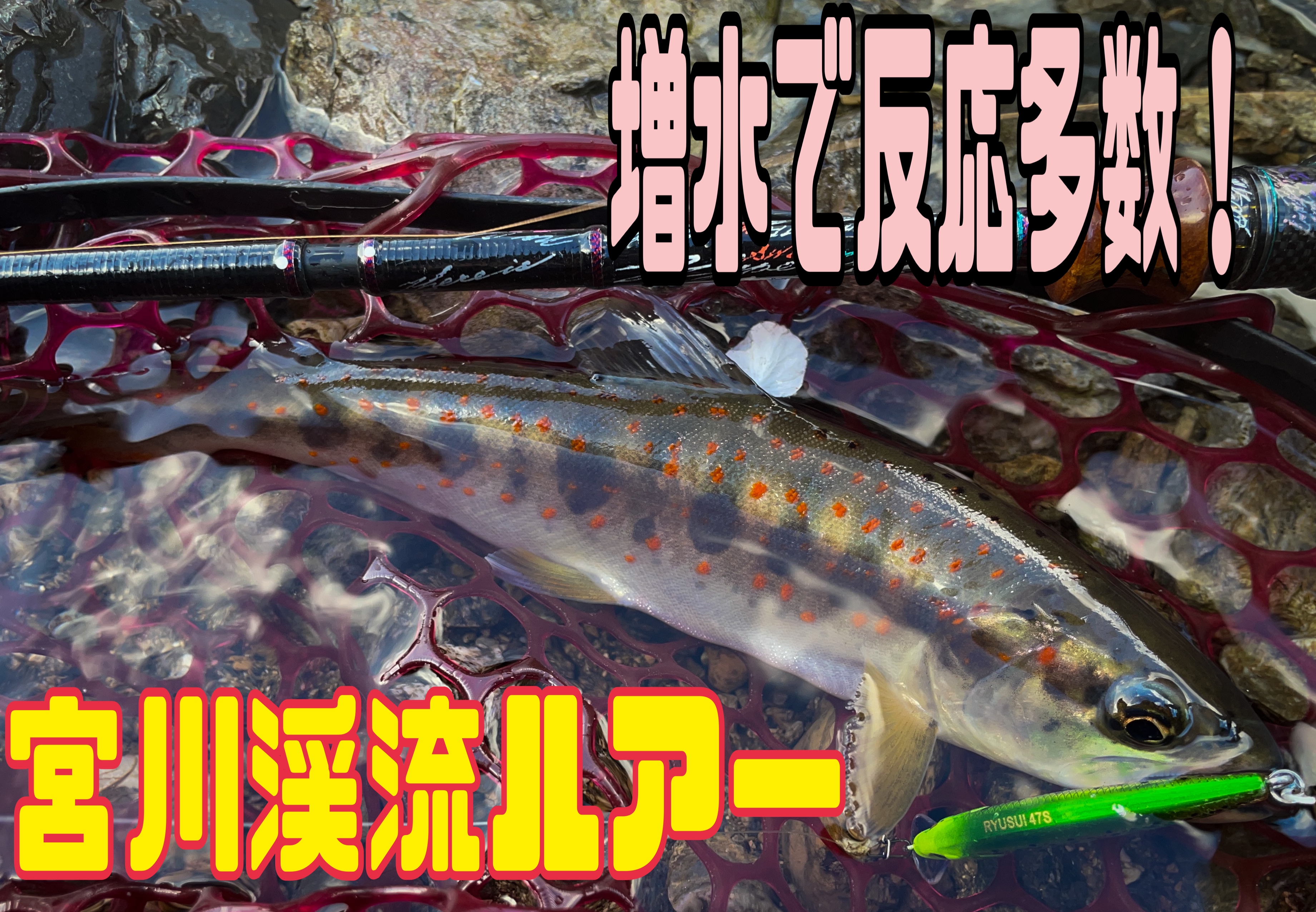 なかせ_宮川_IMG_2956.jpeg