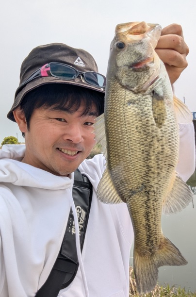 岡崎若松店】油ヶ淵水系ブラックバス好調です！ | 釣具のイシグロ