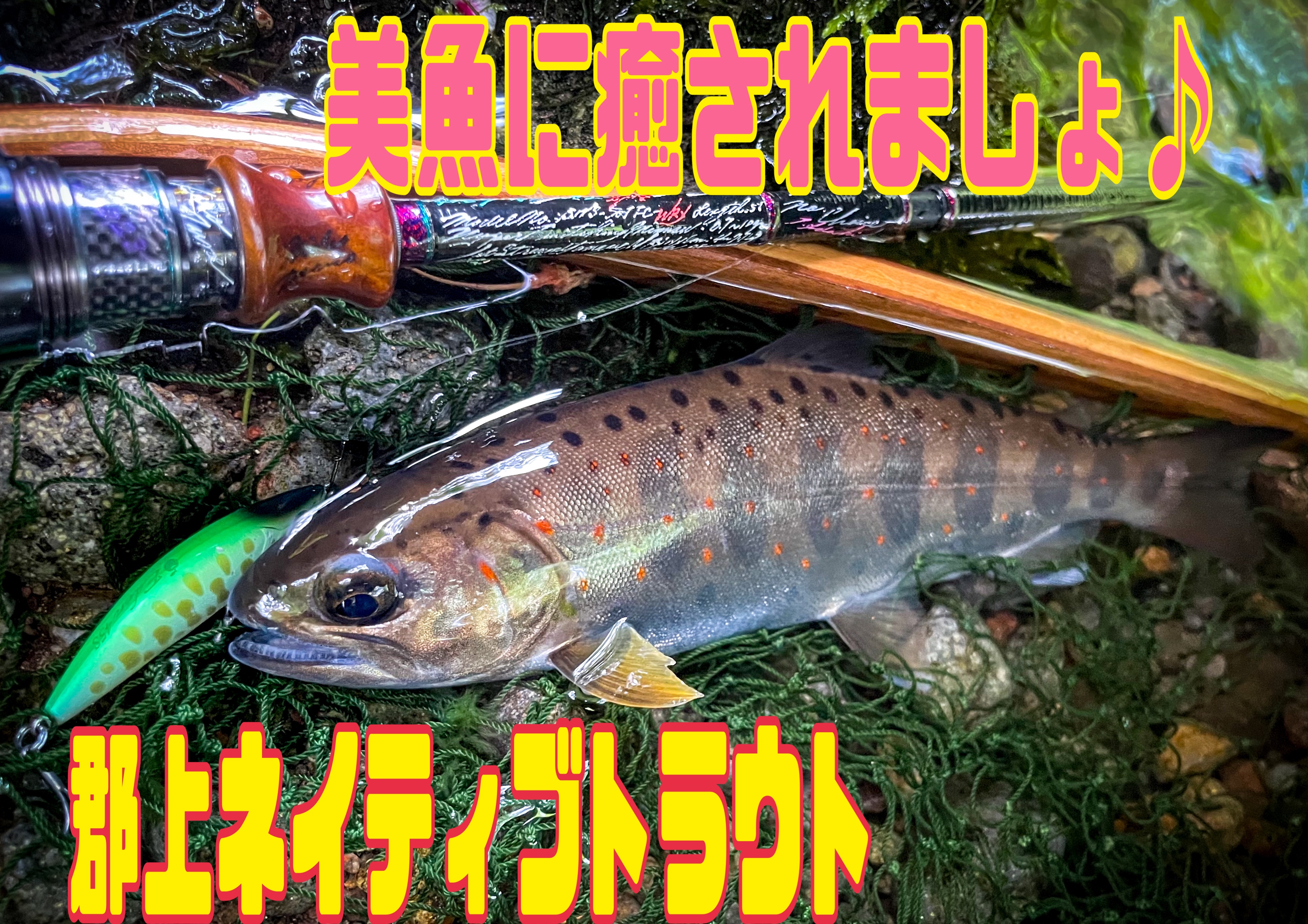 渓竹水 ハヤ 寒月ハエ 450 渓流釣り 鮎 イワナ 川 渓竹水 ハヤ 寒月ハエ 450 渓流釣り 鮎 イワナ 川