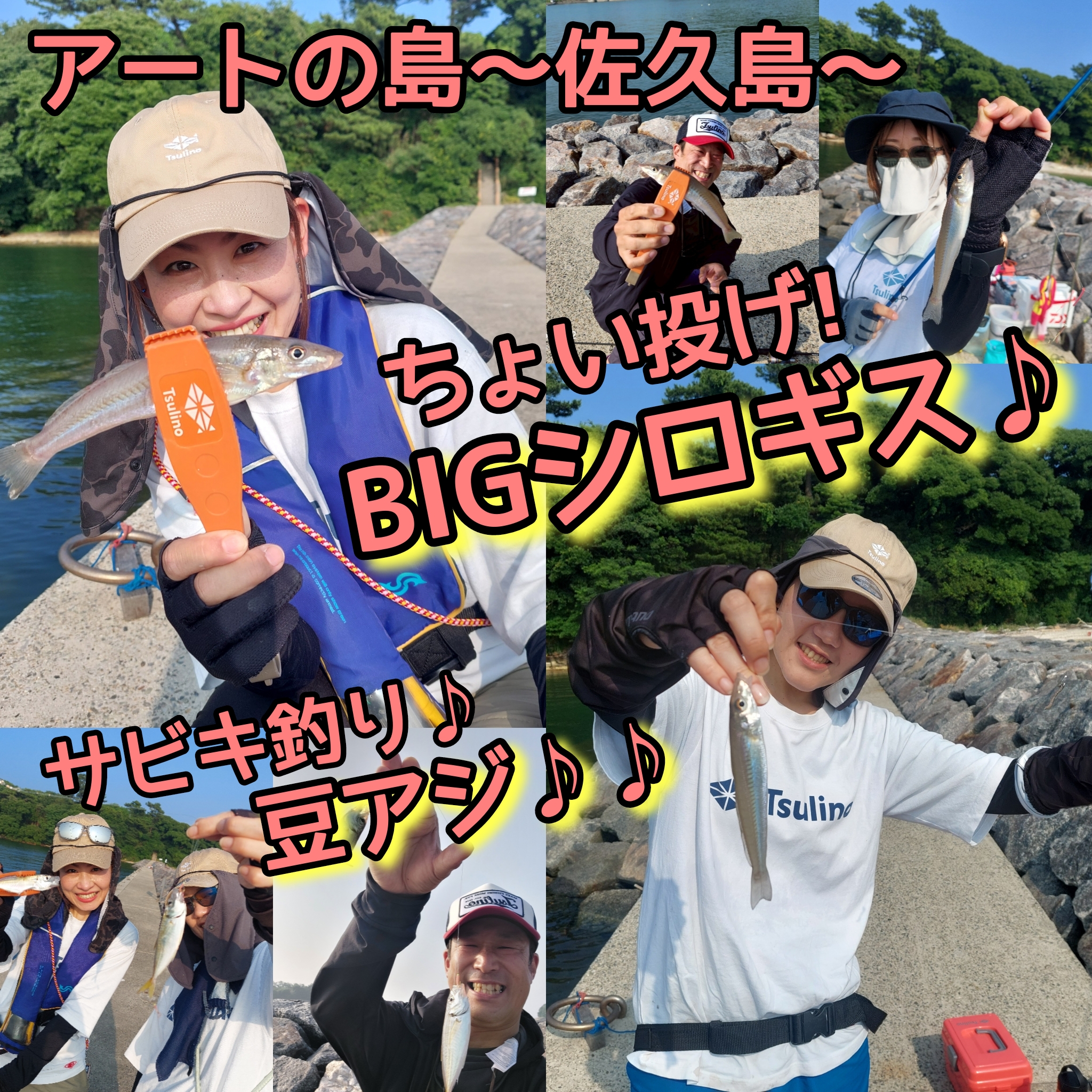 サビキでアジ!!ちょい投げで20㎝UPシロギスGET!!【アートの島佐久島