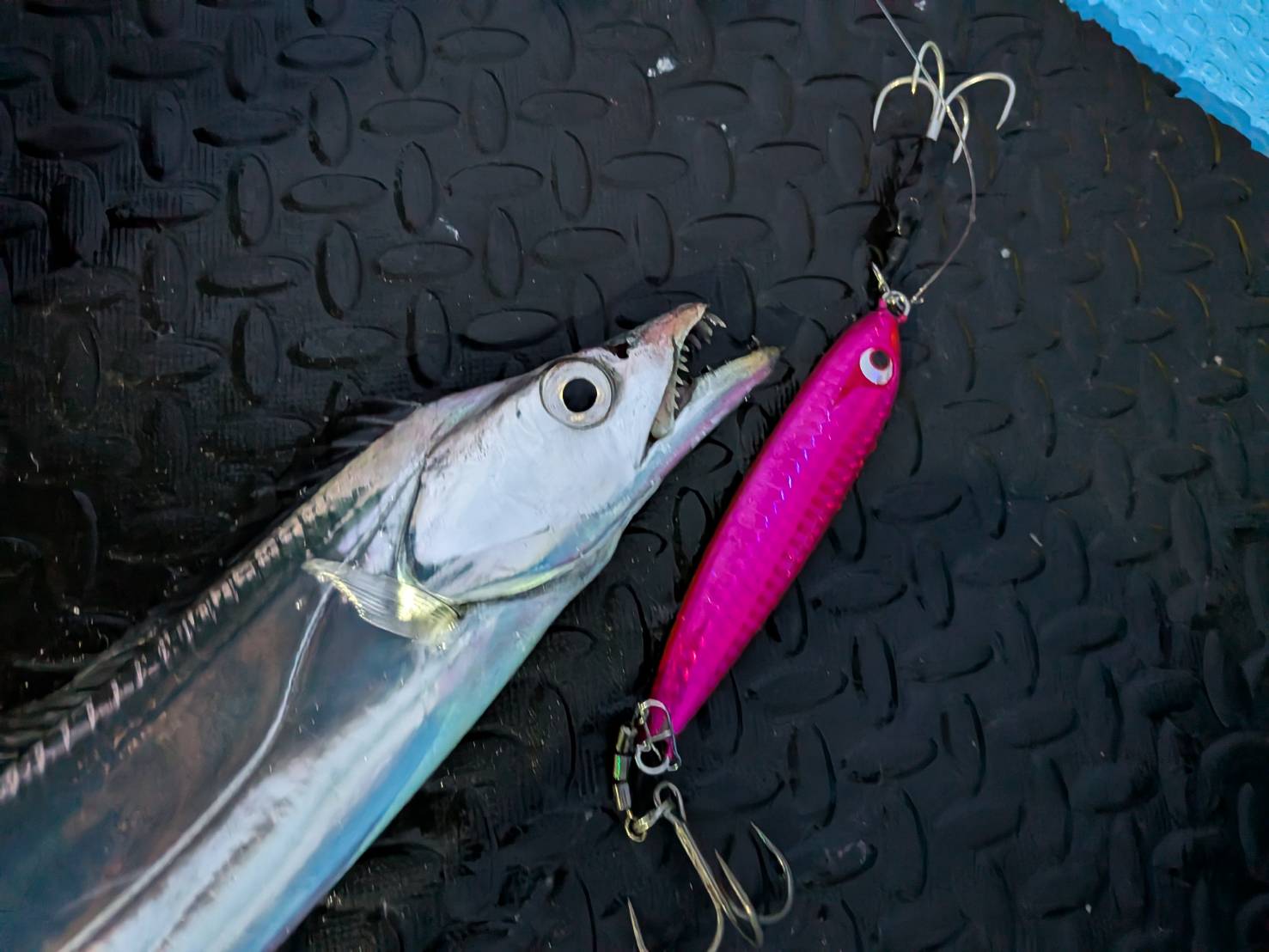 東京湾スタイルで攻略！清水沖タチウオジギング | イシグロ静岡中吉田