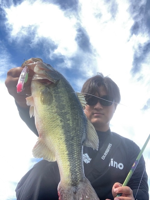 初心者にもオススメ！芦ノ湖ブラックバス放流しました！！TsulinoFLAIR