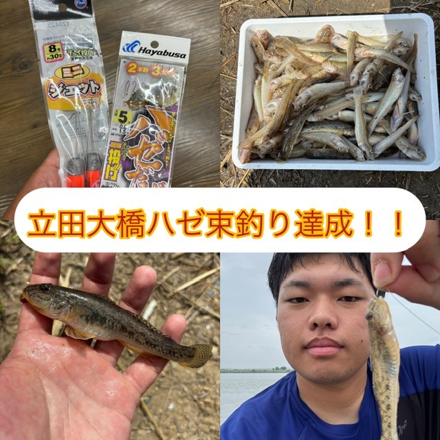 立田大橋ハゼ釣り100匹オーバー絶好調！！ | 釣具のイシグロ | 釣り