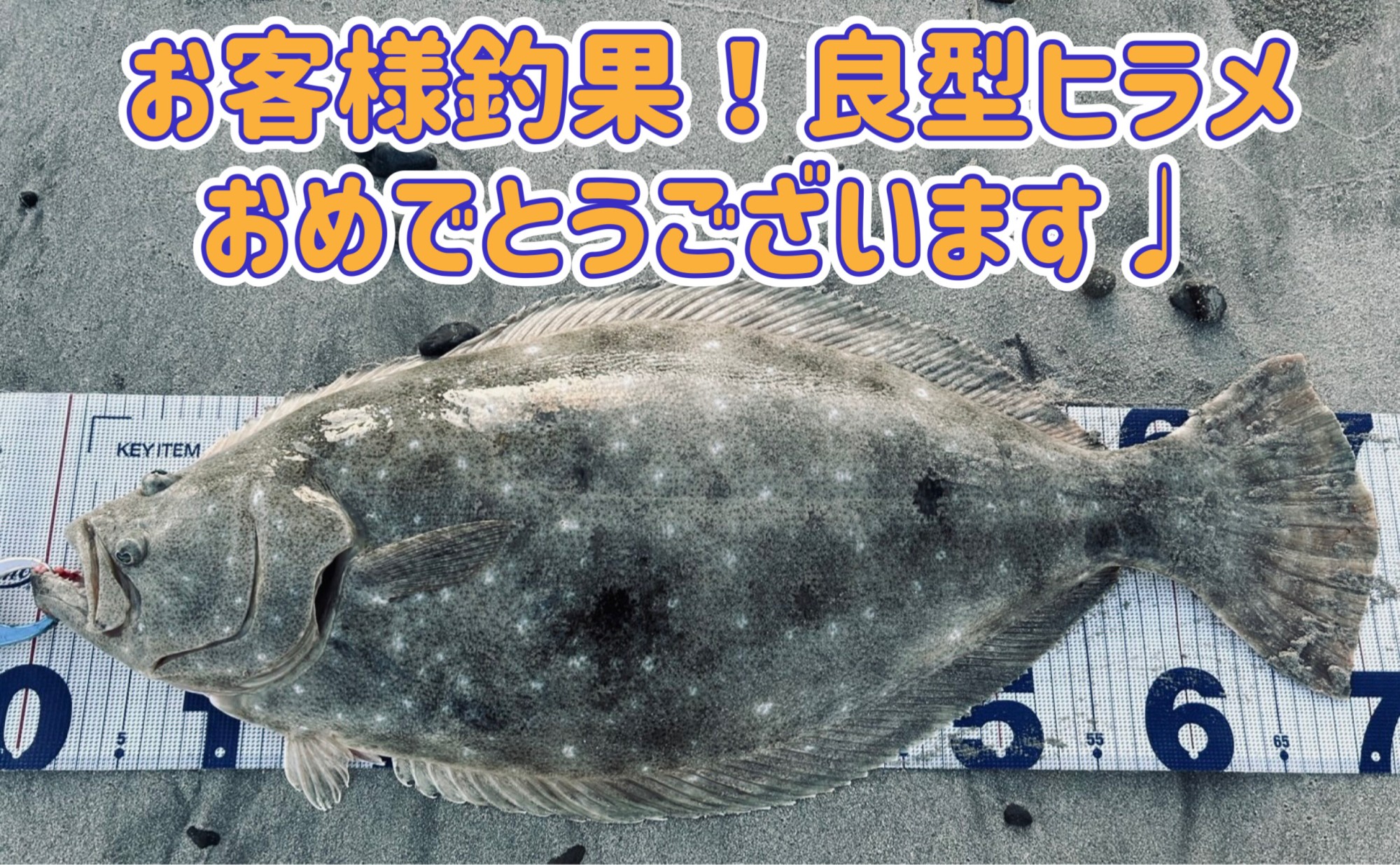 ヒラメ74cm！お客様から釣果情報頂きました！ | 釣具のイシグロ