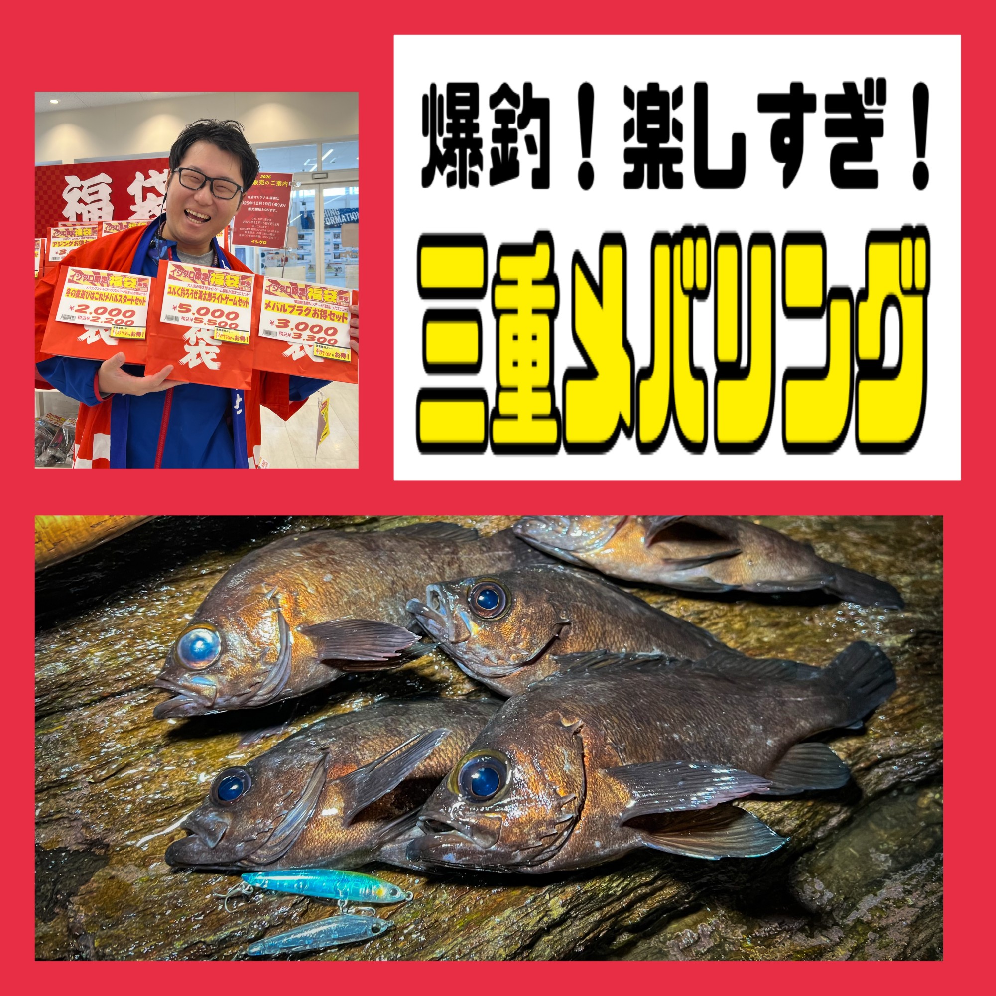 20本超】年末プラグで爆釣でした！三重県メバリング | 釣具のイシグロ