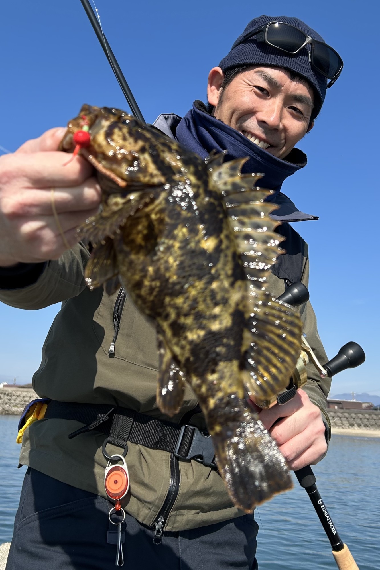 テトラはカサゴのパラダイス！鈴鹿近郊で釣れてます！ | 釣具の