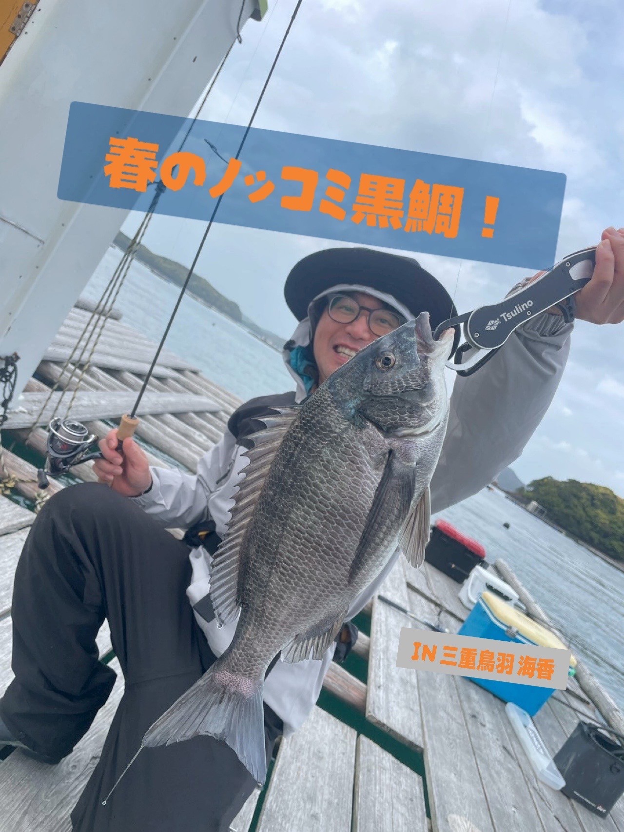 春の乗っ込み黒鯛！三重県鳥羽、カセ筏で良型チヌキャッチIN海香様