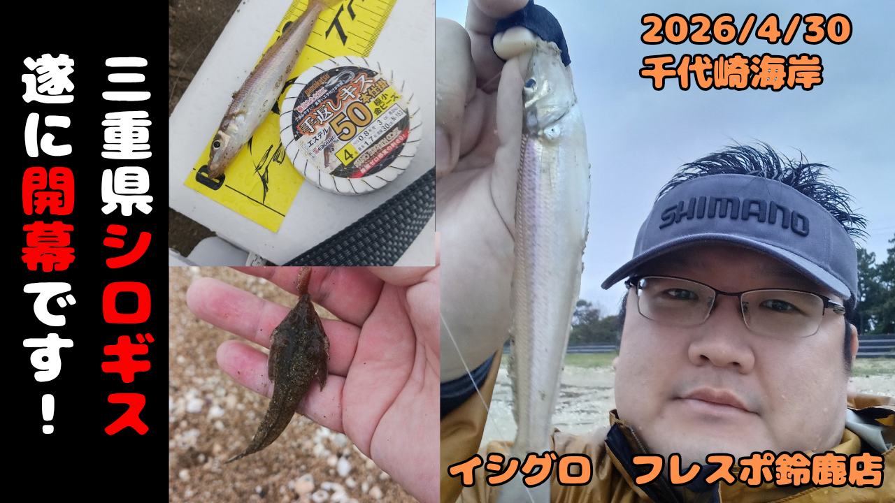 三重県キス釣り情報】2026年 鈴鹿エリアにも待望のシロギスが！キス