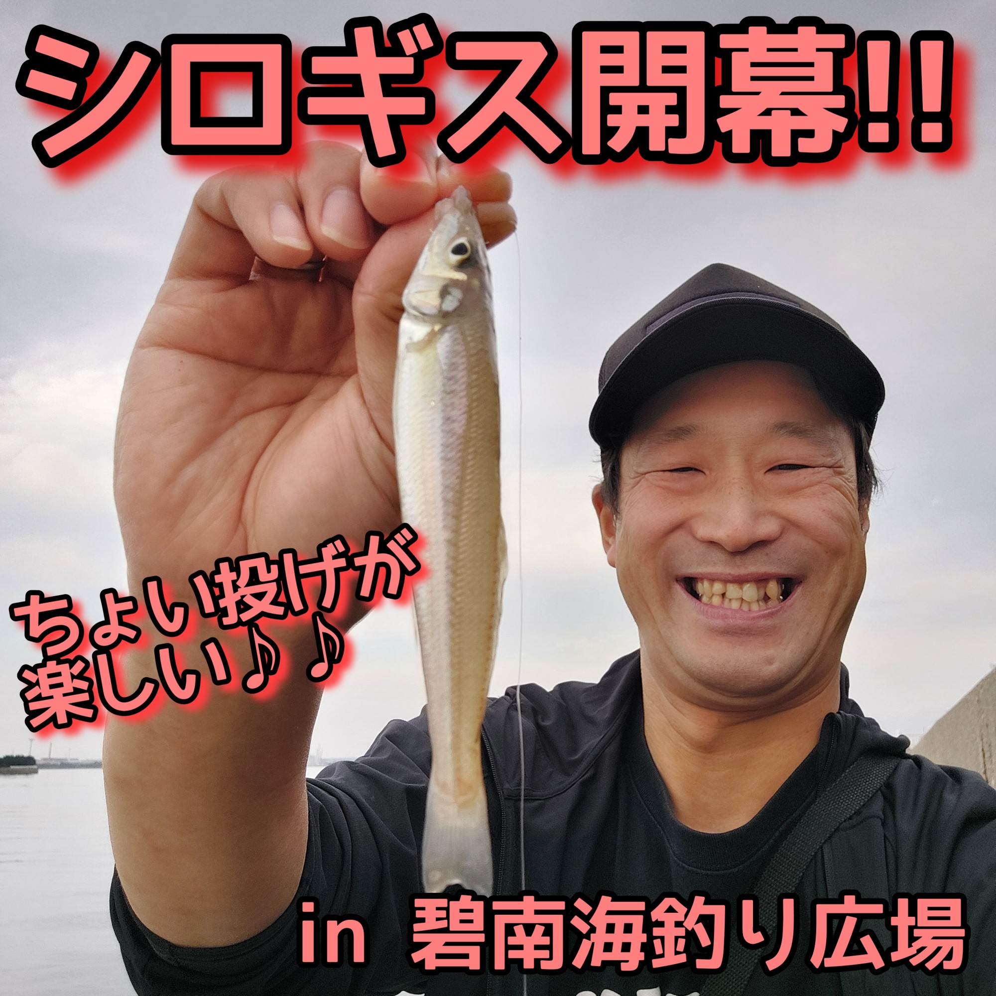 シロギス開幕!!ちょい投げでシロギスGET♪【スタッフ三井の堤防調査Vol