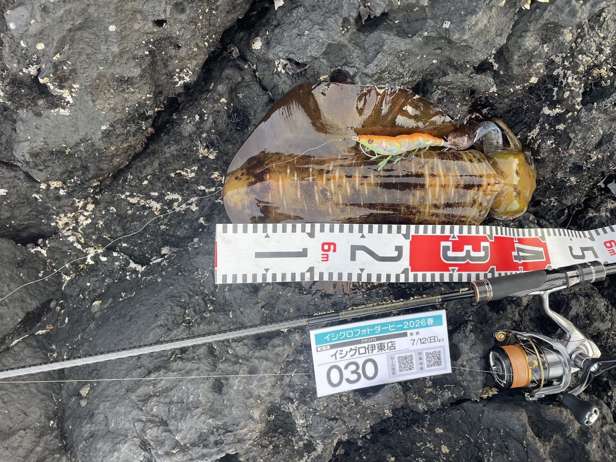 潮見 表 浜名 湖