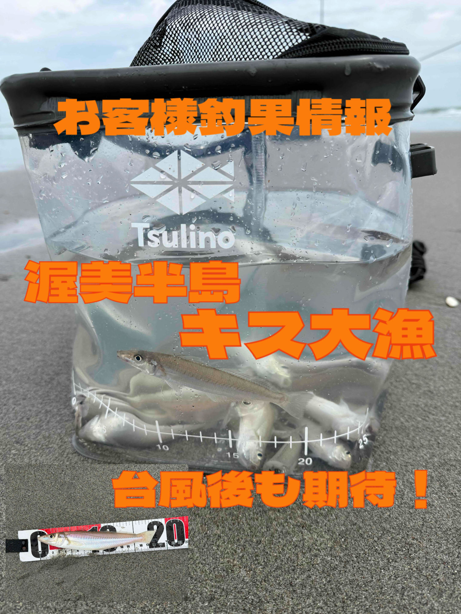 投げ釣り釣果】渥美半島シロギス釣果好調！台風後も期待♪ | 釣具の