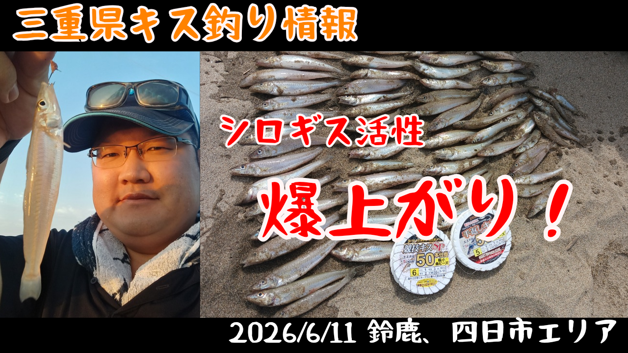 三重県キス釣り情報】鈴鹿、四日市サーフ、シロギス釣果爆上がり中