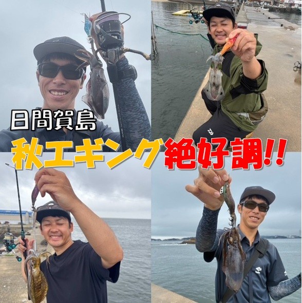 秋エギング絶好調！ IN日間賀島 | 釣具のイシグロ | 釣り情報サイト