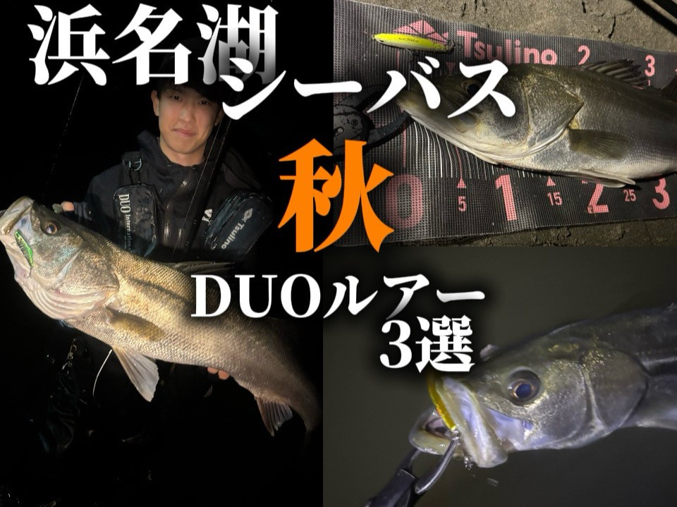 シーバスルアー 5点セット ima DUO 他 浜名湖秋シーズン】シーバスオススメDUOルアー3選 | ショアソルト