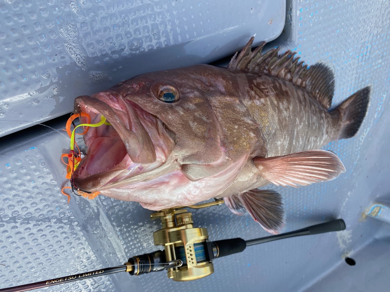 エンゲツ リミテッド[ENGETSU LIMITED] | タイラバ | ロッド | 製品情報 | SHIMANO シマノ
