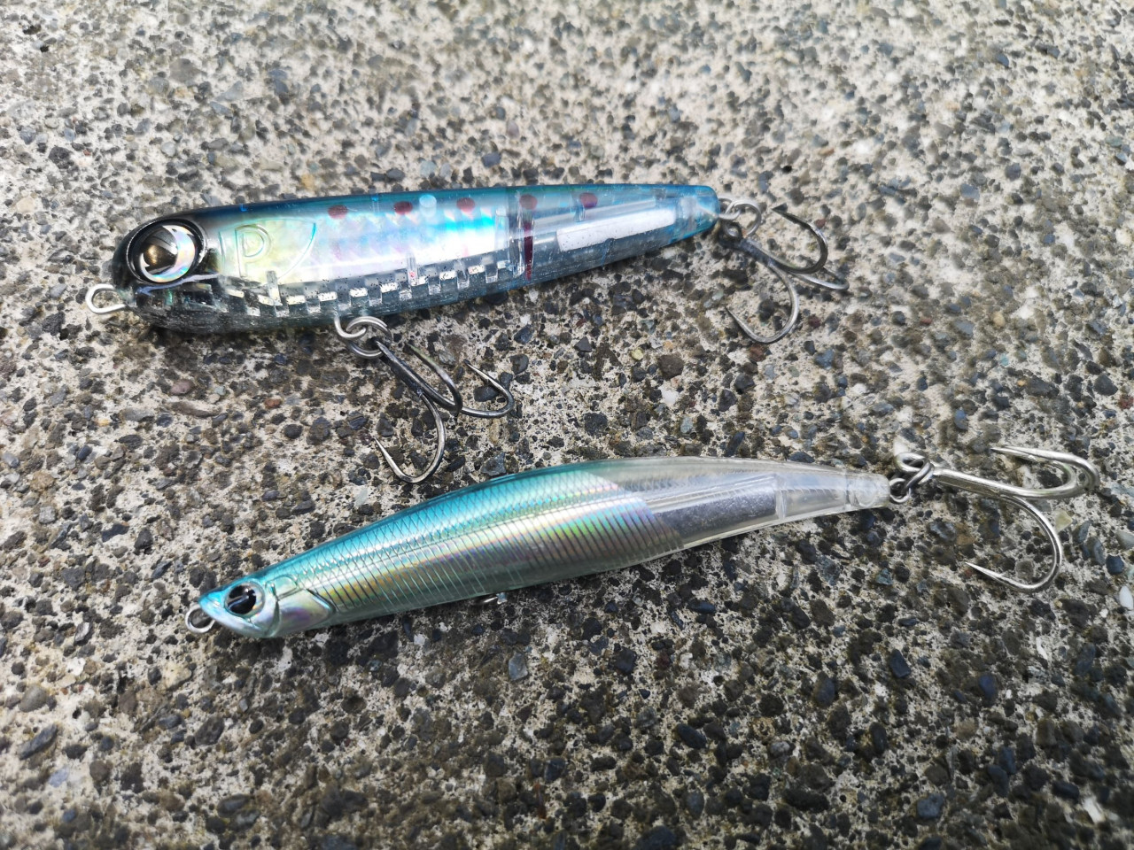 金洲カツオキャスティング！！船中30匹の釣果☆ | 釣具の