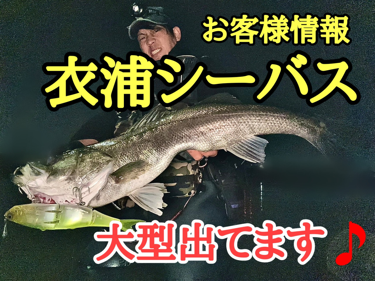【保証書付】 大型ベイトパターンにオススメ】大型シーバスルアー11個セット 病み ルアー・フライ