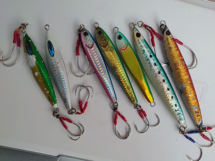 釣果上向き中♪】伊勢湾で青物ジギング！ | 釣具のイシグロ