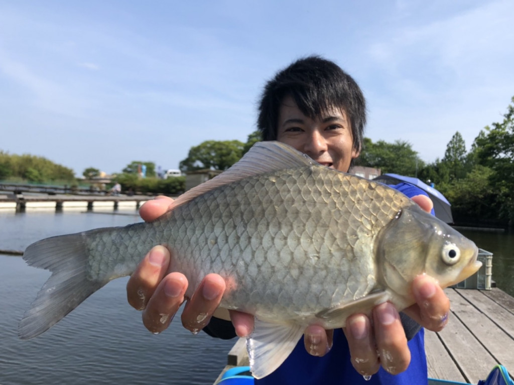 へらぶな釣りセット」で釣りに行ってきました♪ | 釣具の
