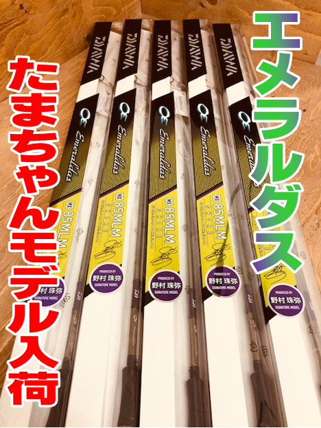 イシグロ半田店 【たまちゃんモデル】エメラルダスMX MLM NT入荷