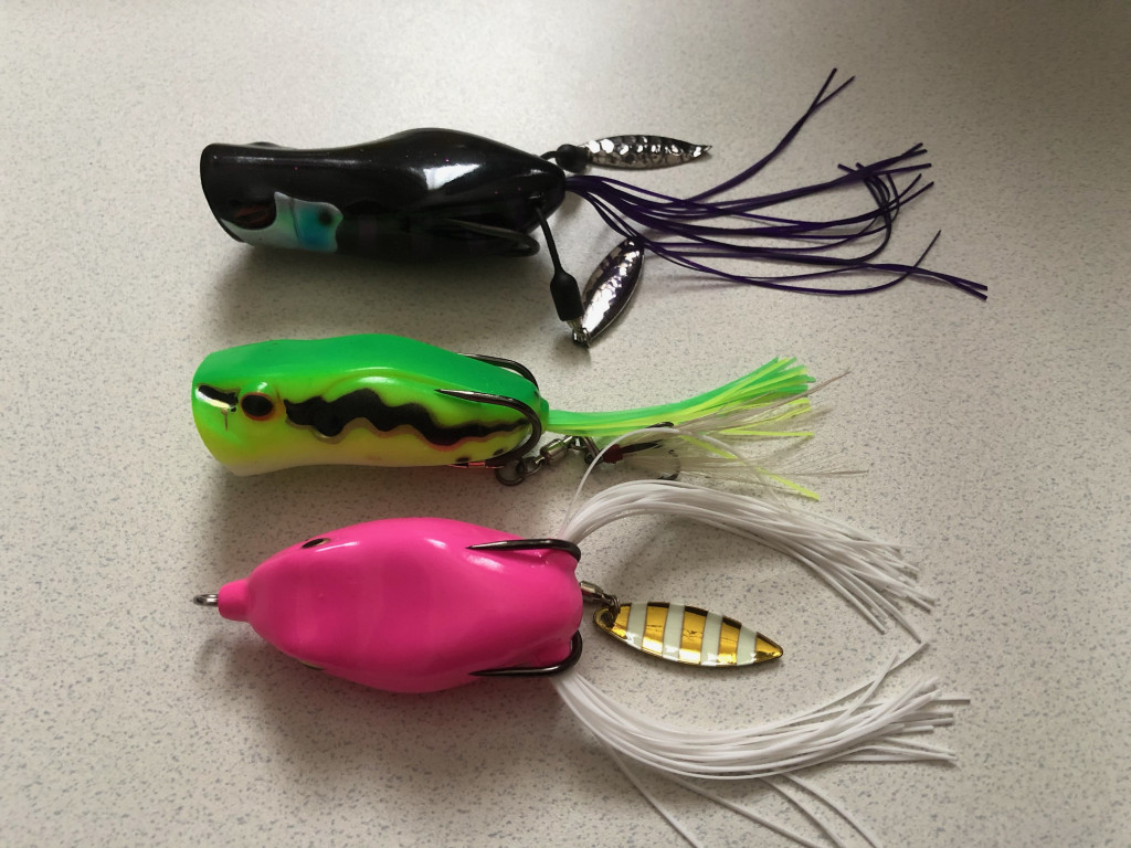 夏といえば・・・フロッグゲーム！担当者オススメのフロッグ&簡単