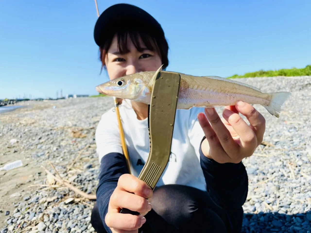 初めての釣りに】ちょい投げ、ブッコミ釣り、サビキ釣り、電気