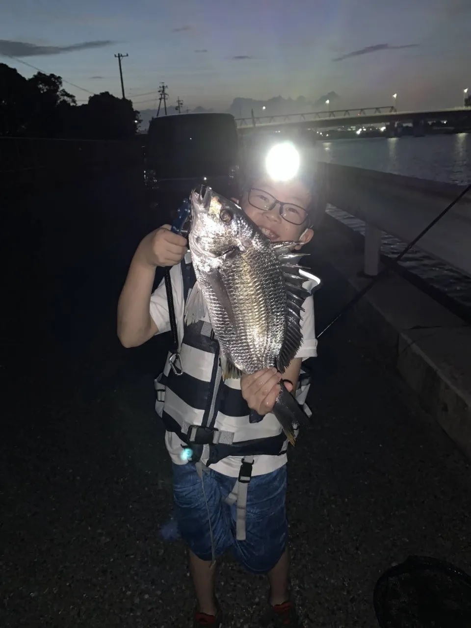 初めての釣りに】ちょい投げ、ブッコミ釣り、サビキ釣り、電気