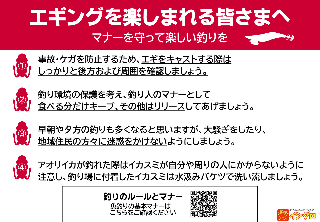 ヒイカ（チビイカ）のエサ釣り・エギ釣り | 釣具のイシグロ | 釣り情報 