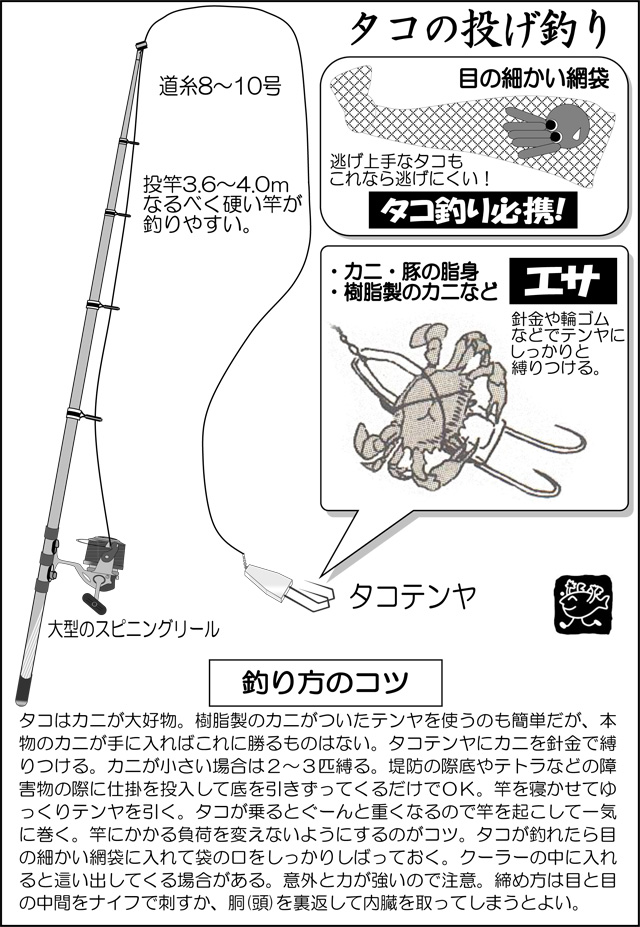 タコの投げ釣り | 釣具のイシグロ | 釣り情報サイト
