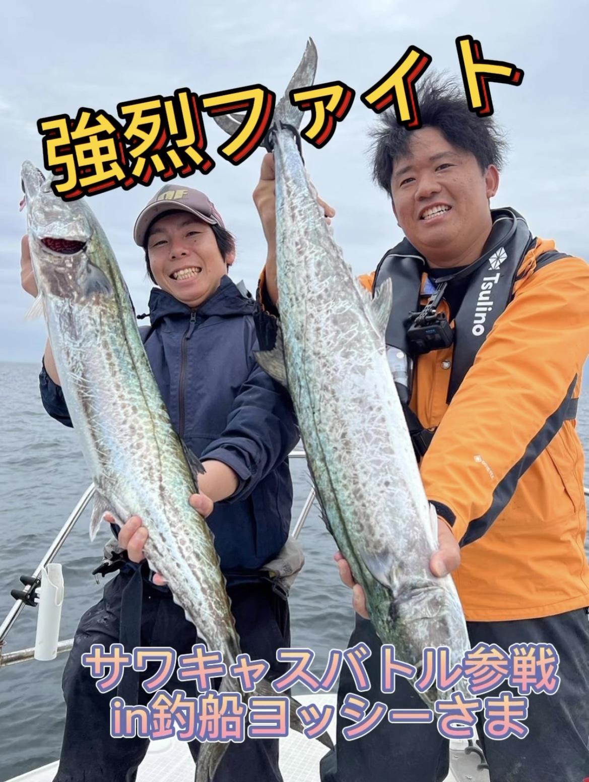 サワラ用ミノー、ジグのセット サワラ用ミノー、ジグのセット フィッシング