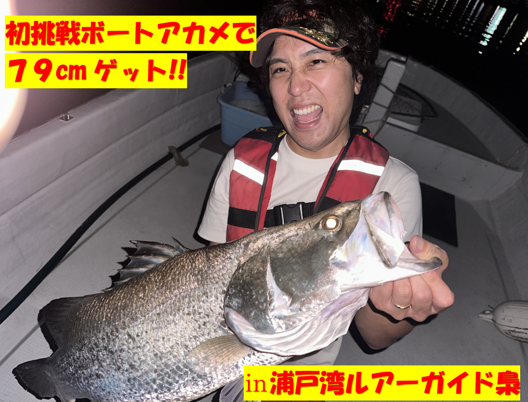 浦戸湾でアカメ79cm捕獲!!㏌ルアーガイド梟様 | 釣具のイシグロ | 釣り情報サイト