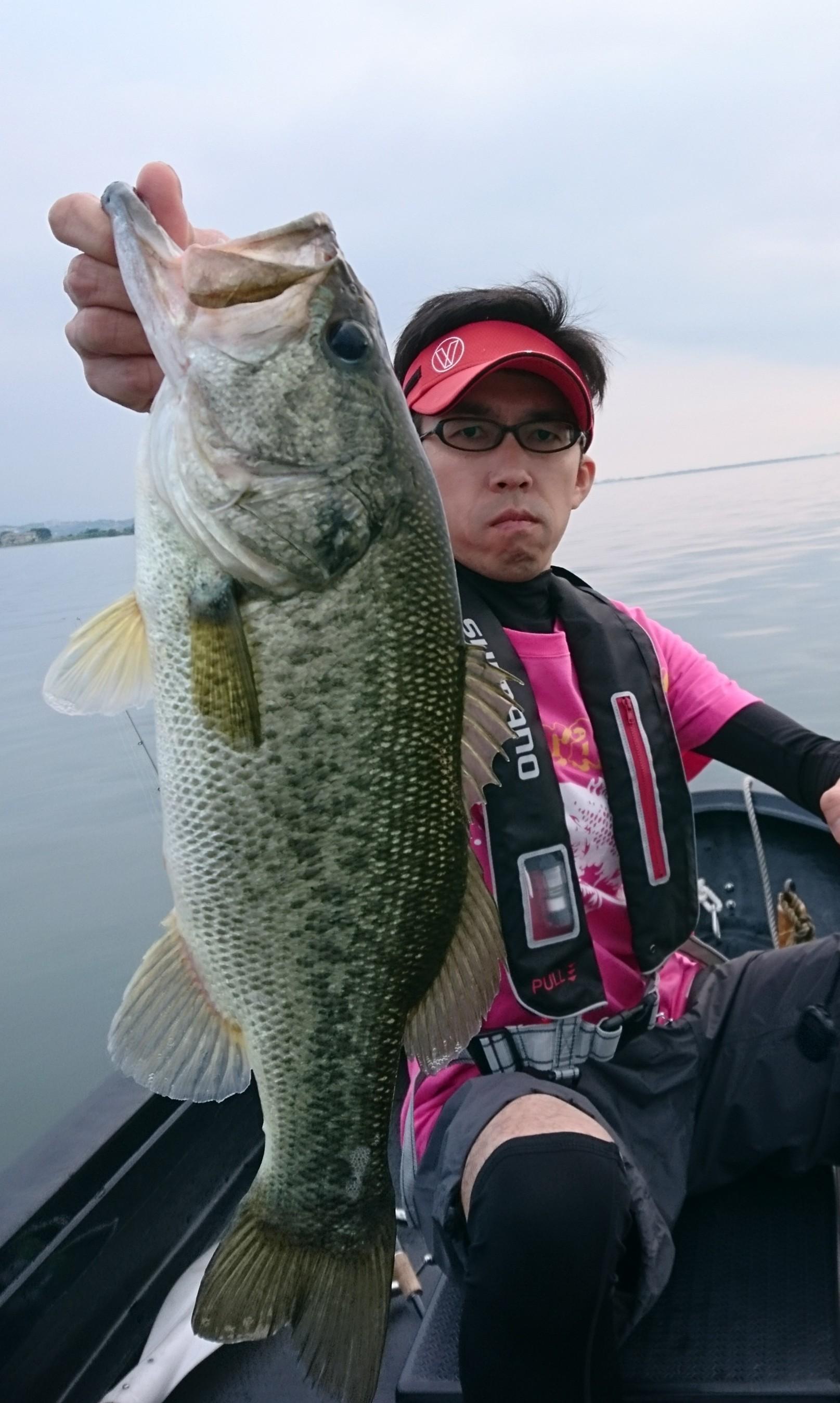 バス釣り(outdoor様用価格へ変更) バス釣り(outdoor様用価格へ変更) バス釣り(outdoor様用価格へ変更)