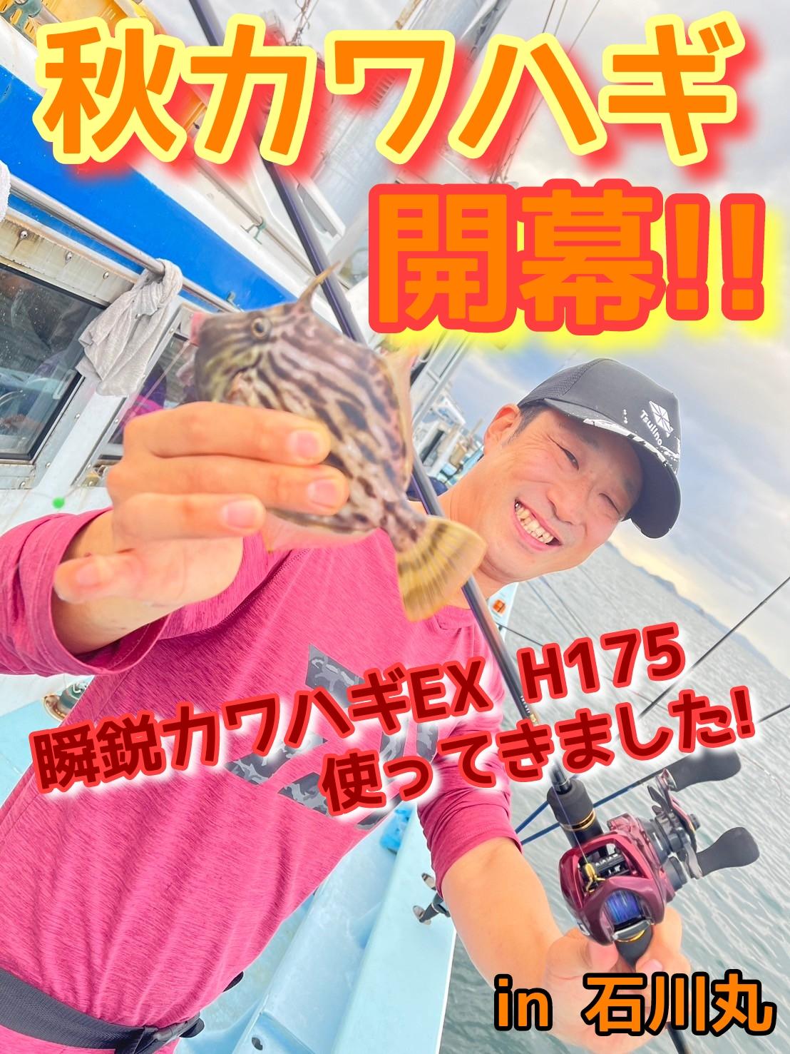 秋カワハギ開幕!!【ダイワ新製品「瞬鋭カワハギEX」使ってきまし