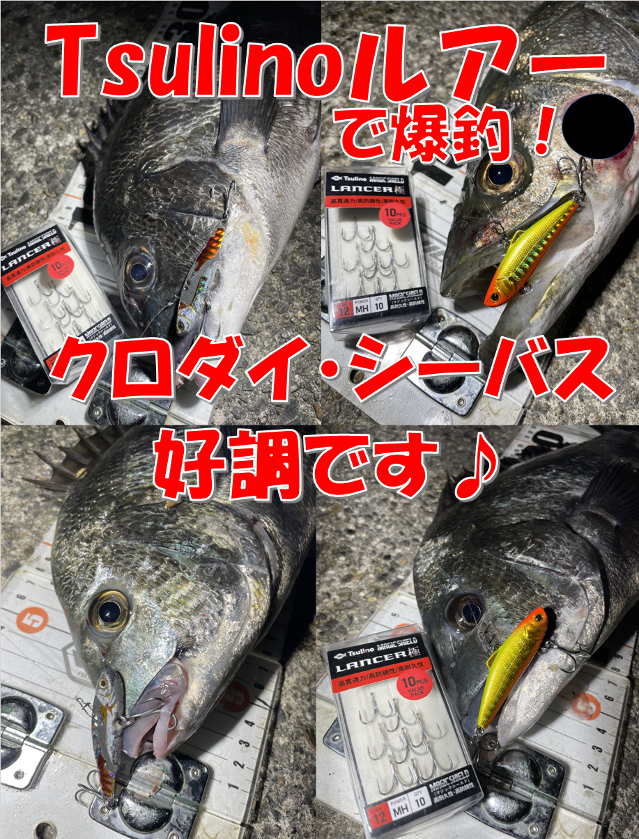 Tsulinoルアー無双！！ 短時間でクロダイ、シーバスが爆釣！ | 釣具のイシグロ | 釣り情報サイト