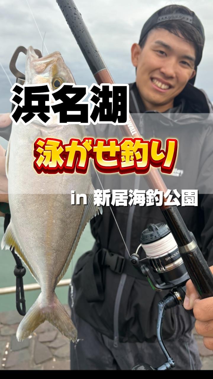 高林店】 新居海釣公園泳がせ釣りでカンパチ!! | 釣具のイシグロ