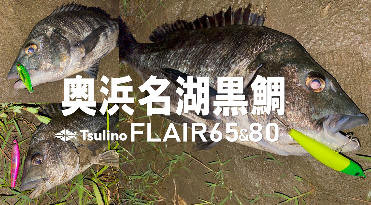 Tsulino FLAIR】奥浜名湖黒鯛絶好調【KAHUNA SHORE VERSATILE】 | 釣具