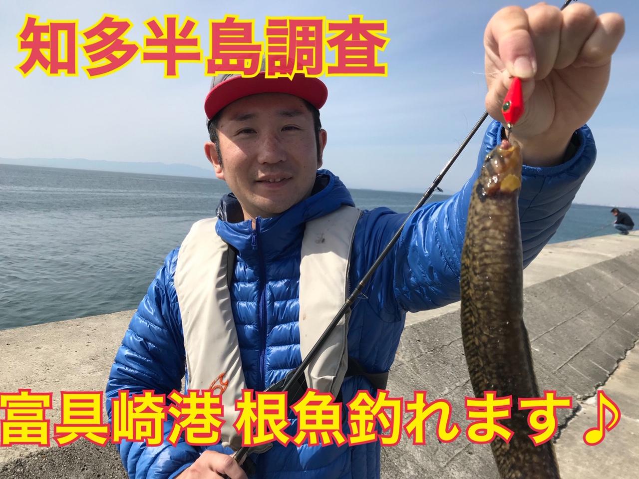 知多半島調査隊♪冨具崎で穴釣り、ブラクリで根魚に癒されました